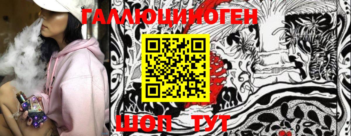 Галлюциногенные грибы Psilocybe Ирбит