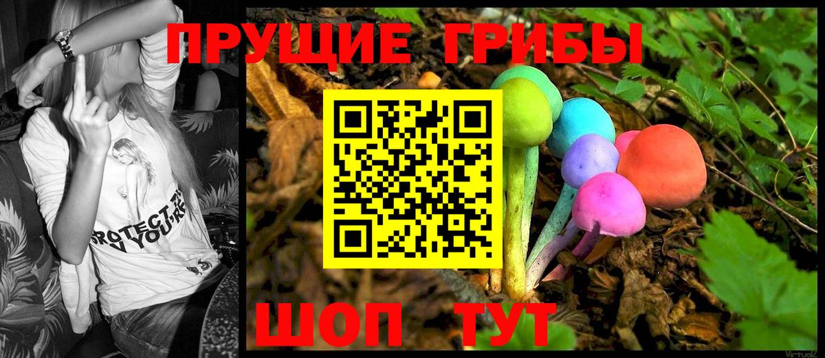 купить наркоту  Галлюциногенные грибы MAGIC MUSHROOMS  Ирбит  Вход с VPN  Галлюциногенные грибы мицелий 